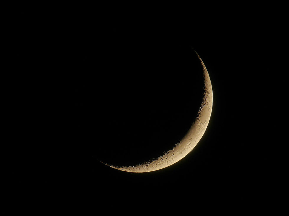 Frontpage New Moon .jpg