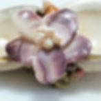 East Coast Two Compartment Shell Flower Tray | Quahog Shells | Home Decor