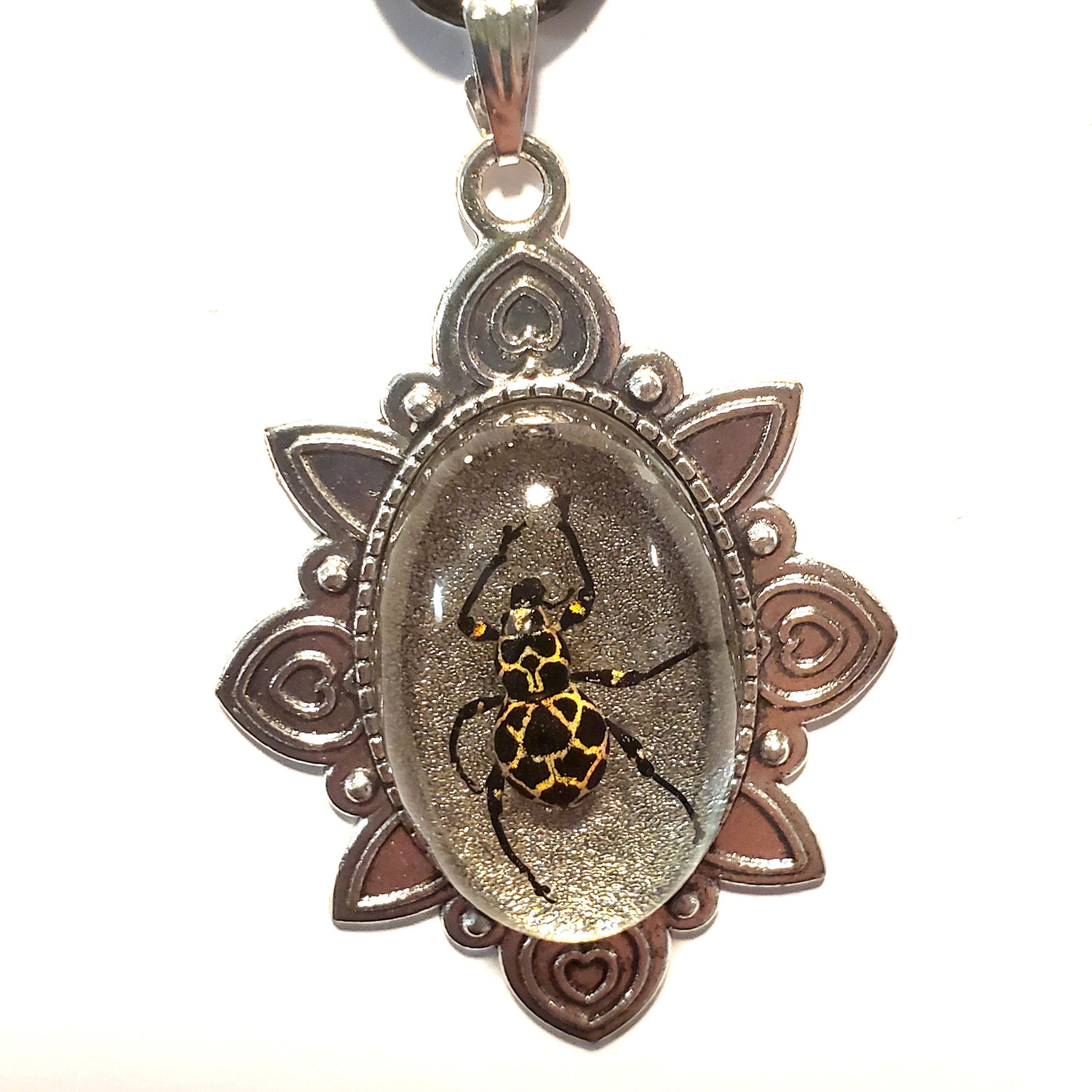 Pachyrrhynchus Reticulatus Weevil Beetle Necklace