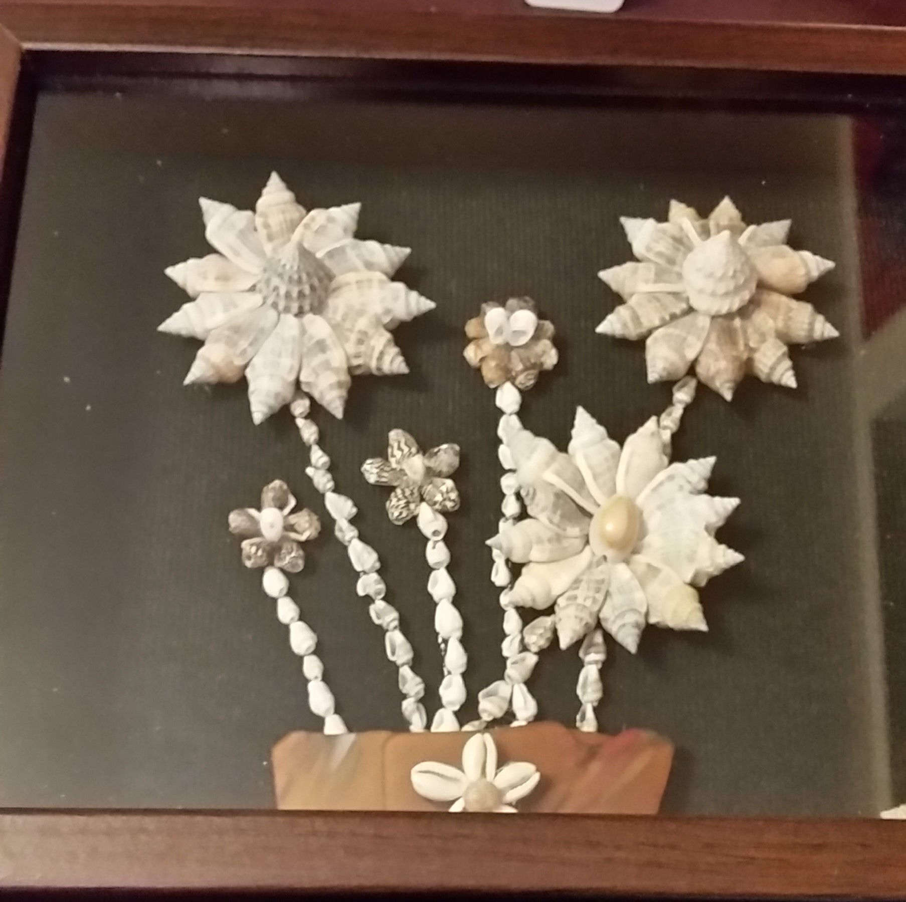 Framed seashell wall art- 6 shell flowers