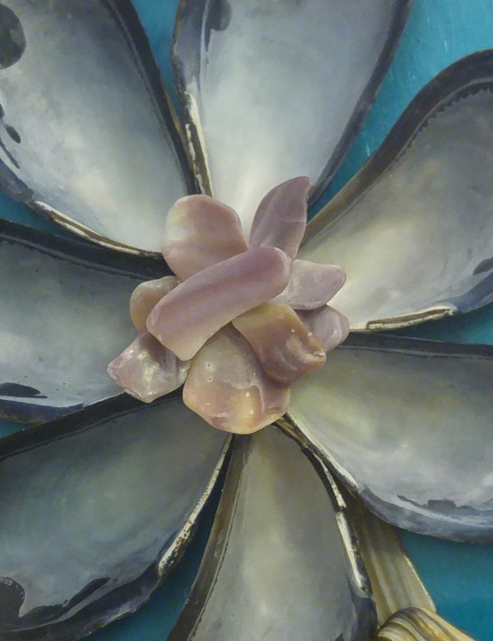 Thumbnail: Seashell Wall Art | 6 x 8 Shadow Box | Oyster Shell | Quahog Shells