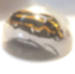 Tiger Flower Beetle Paperweight