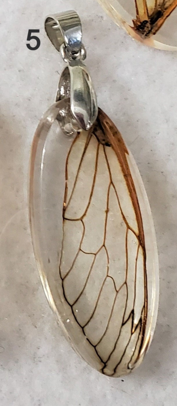 Thumbnail: Cicada Wing Brood X Necklace 2021 | Wings Equal Wishes