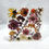 Thumbnail: Real Flower | Paperweight | Table Art
