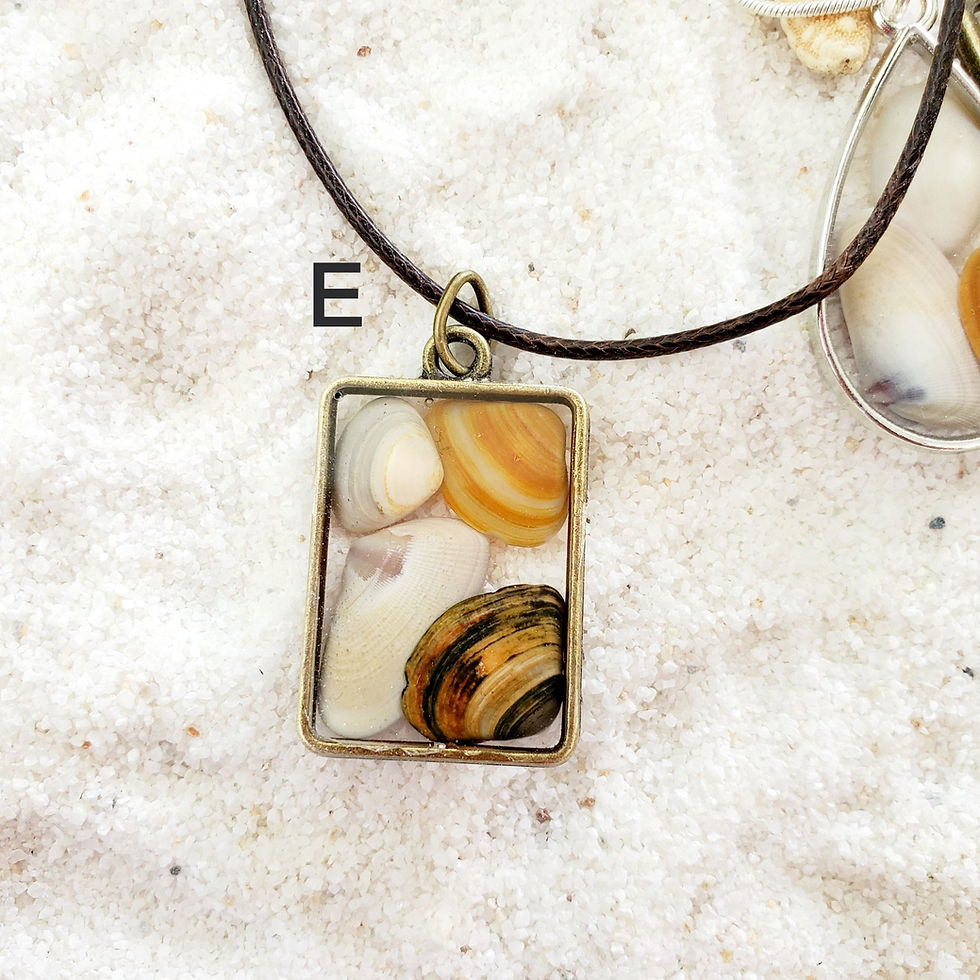 Thumbnail: Natural Seashell Jewelry | Seashell Necklace | 2.0