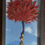 Thumbnail: Earth Art | Japanese Maple | 3D Framed Natural Art