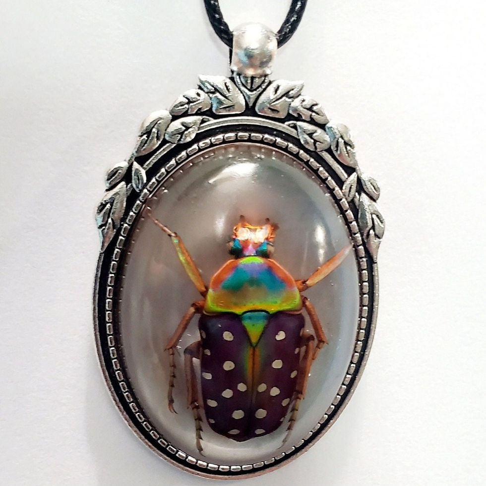 Thumbnail: Spotted Flower Beetle Necklace