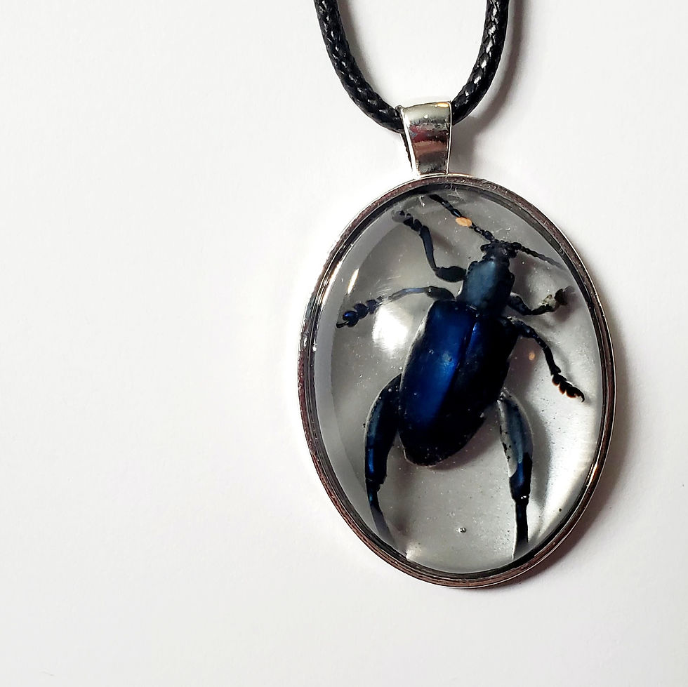 Thumbnail: Blue Frog Beetle Pendant