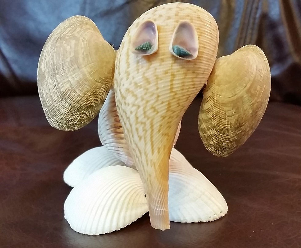Seashell Elephant front view