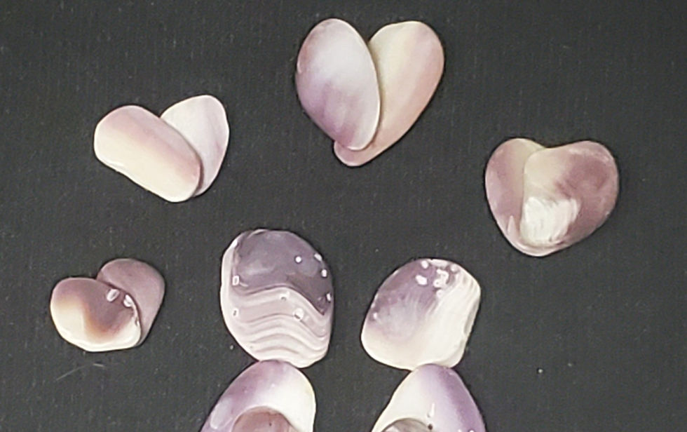 Thumbnail: 1st Kiss | Shell Wall Art