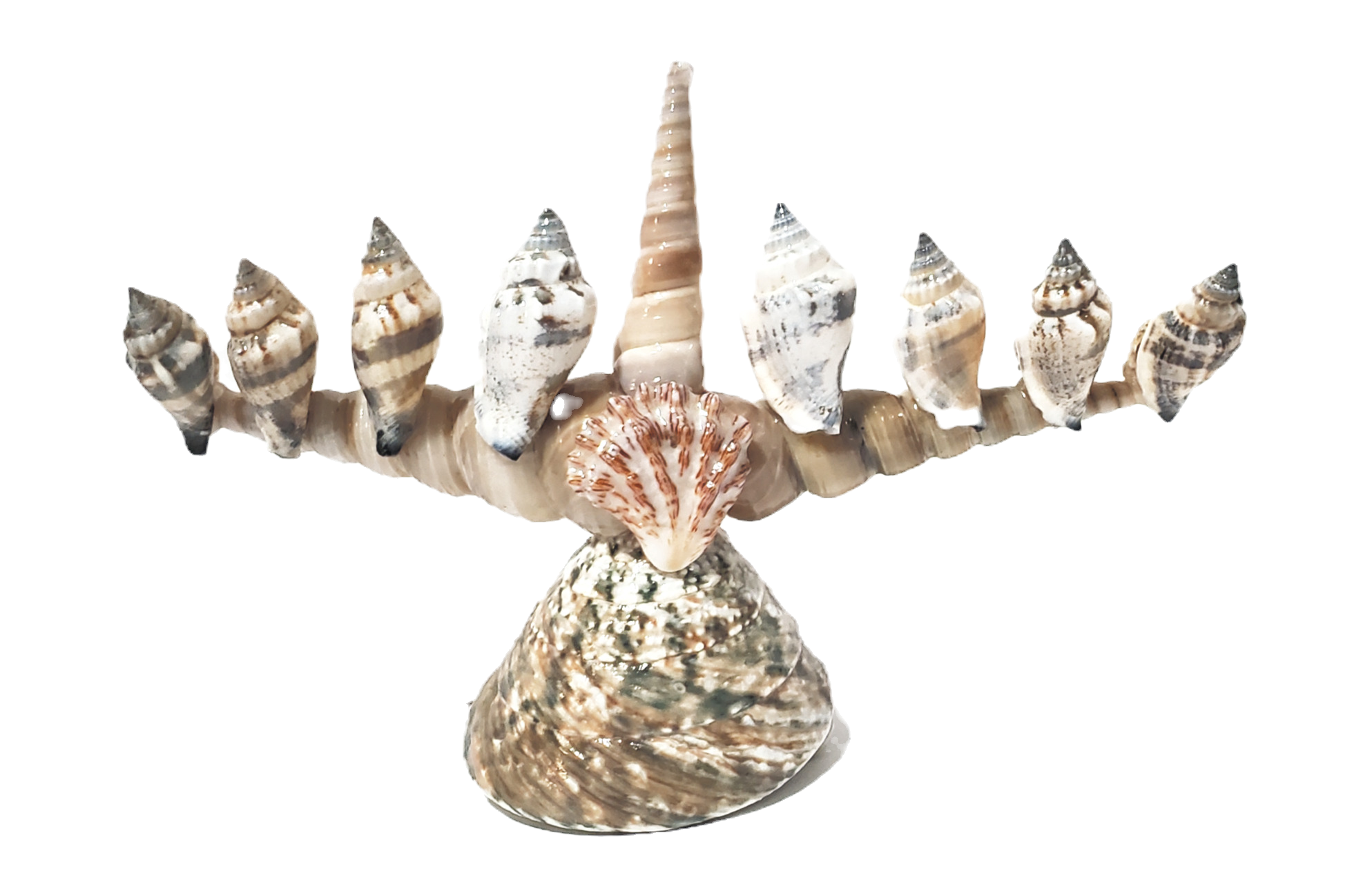 Shell Menorah | Decorative Menorah Made with Shells