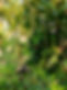 GDEG8462_edited.jpg