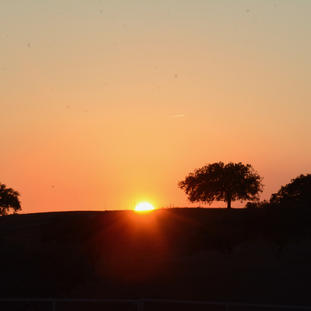 DSC_7822.jpeg