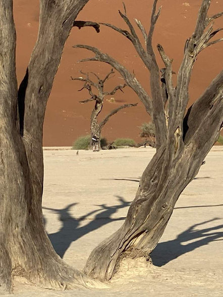 Geführte Reisen 2025, Best of Namibia 2025, Dead Vlei