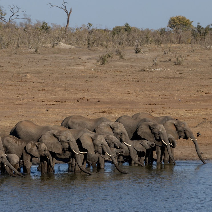 Groß (2025_Best of Machaba ZIM_Verney's (22 von 37))_edited.jpg