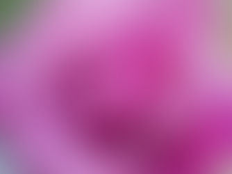 The Silent Season: Why Your Growth is Happening Even When You Can't See It