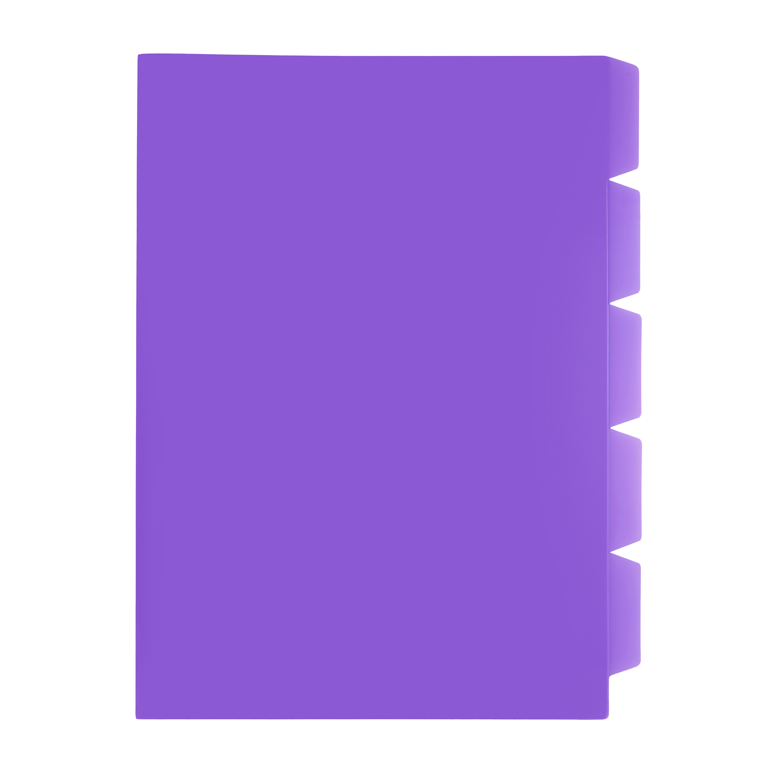 Secretarial Folder with 5 Tabs (A4)
