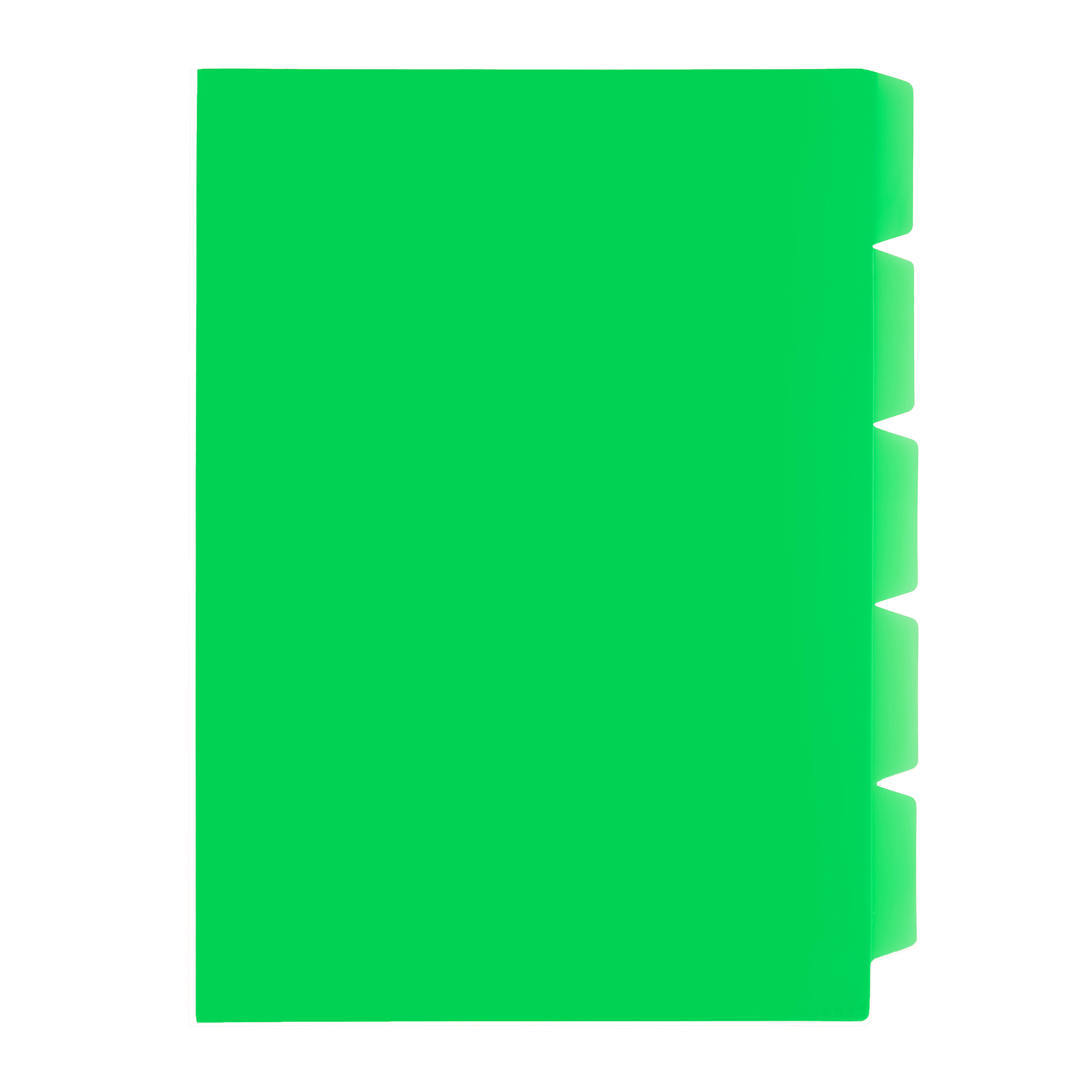 Secretarial Folder with 5 Tabs (A4)