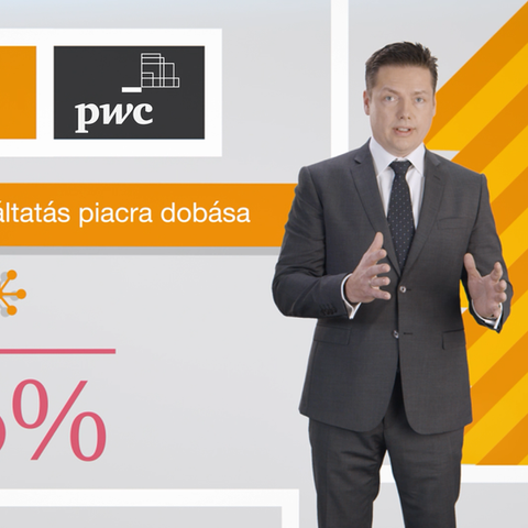 PwC 2D infographic explainer