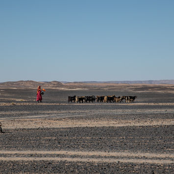 Marrakesh
Fez
Fes
Medina
Medine
Madina
Città rossa
Città blu
Marocco
Morocco
Morocco photography
Morocco Photographer
Morocco photo
Morocco photos
Reportage
Reportages
Reportage Marocco
Reportage Morocco
Berberi
Berber
Amazigh
Città antica del Marocco
Marrakesh photo
Fez Photo
Essaouira
Essaouira photo
Fotografia del Marocco
Fotografia di Marrakesh
Fotografia di Fez
Fez Marocco
Marrakesh Marocco
Reportage photography
Reportage Photographer
Viaggi fotografici
Travel photographer
Travel photography
Workshop in Marocco
Workshop a Marrakesh
Workshop a Fez
Bab Medina
Bab Madina
Madina Morocco
Fotografia di Reportages
Fotografo di reportage
Fotografia del Marocco
Fotografo del Marocco
Marocco in fotografia
Medina Unesco
Medina patrimonio unesco
Patrimonio Unesco
Unesco
Street photography
Fotografia di strada
Morocco street photography
Massimo Barbagli
Massimo barbagli photography
Massimo Barbagli photographer
Marrakesh photography
Fez Photography
Medina di Marrakesh
Medina di Fez
Medina di Essaouira
Essaouira Unesco
Essaouira Marocco
Berberi
Berberi del deserto
Deserto del Marocco
Morocco
Desert
Desert of Morocco
Berber
Berberi del Marocco
Morocco berber
Fotografo del Marocco
Fotografo dei Berberi
Fotografia dei Berberi
Fotografia del deserto
Nomadi
Nomad
Nomads
Nomadi del deserto
Nomadi del Marocco
Morocco Nomads
Popolo berbero
Famiglie berbere
Tende berbere
Tenda del deserto
Tende del deserto
Tende nomadi
Massimo Barbagli
Massimo barbagli fotografia
Massimo Barbagli fotografo
Massimo Barbagli Reportage
Reportage
Reportages
Massimo Barbagli Marocco
Massimo Barbagli Morocco