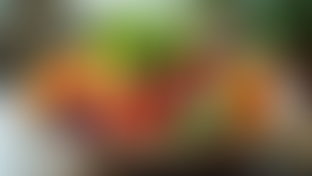 Tailored Prenatal Nutrition Services for Expecting Moms