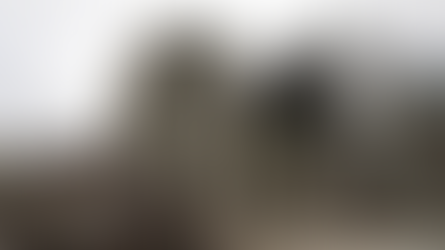 Blog: Immigration policy and the future workforce of New Zealand