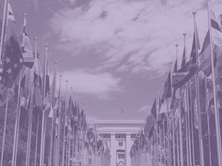 Opinion | International Law is Ineffective in Mediating Israel's Occupation of Palestine