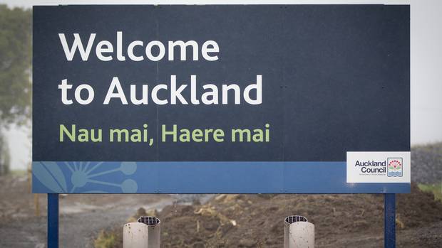 We can continue giving up on Auckland Council ever being able to serve its core purpose, or we can put in strong leadership. Photo / Sarah Ivey