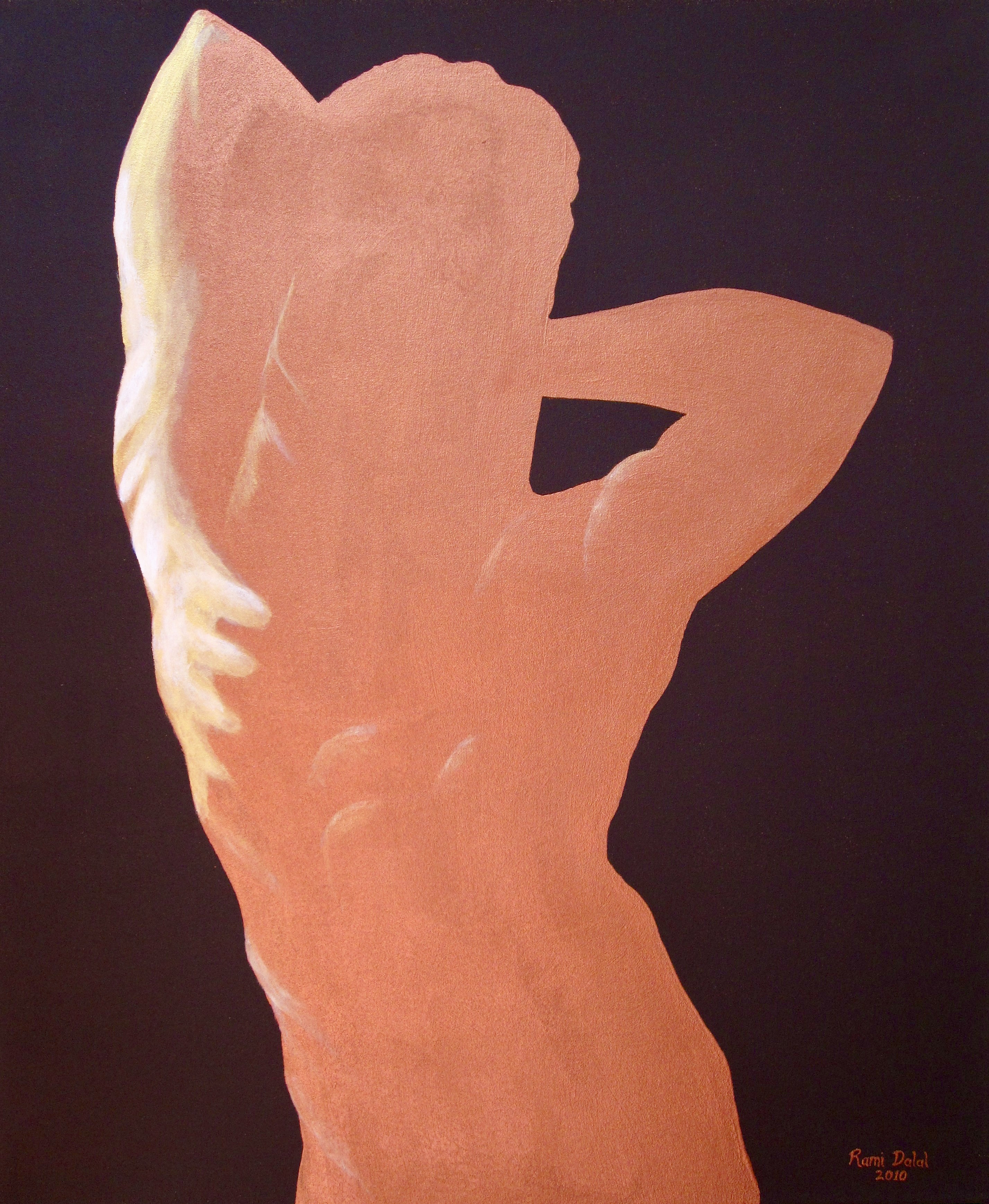 Torso
