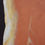 Thumbnail: Torso