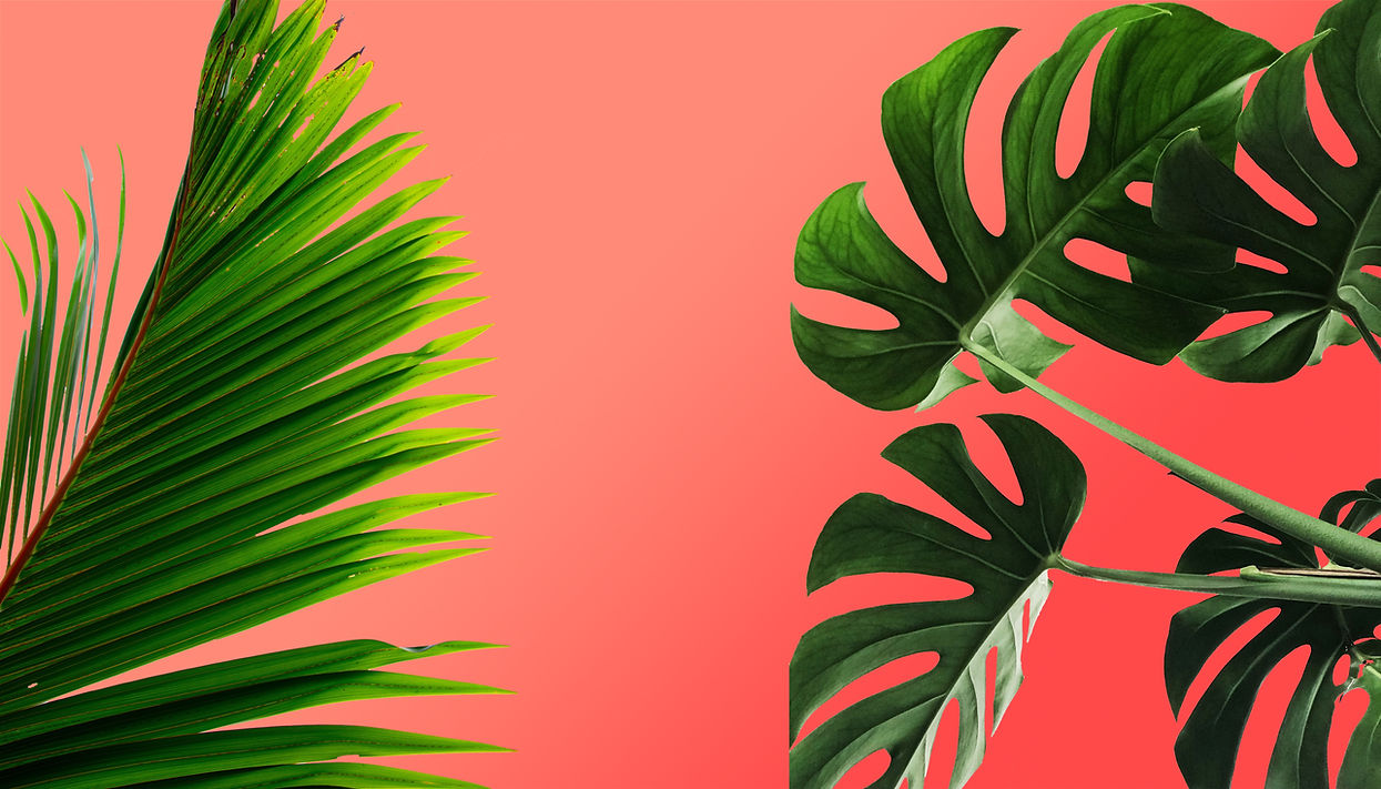 68 Holdings Background - small file.jpg