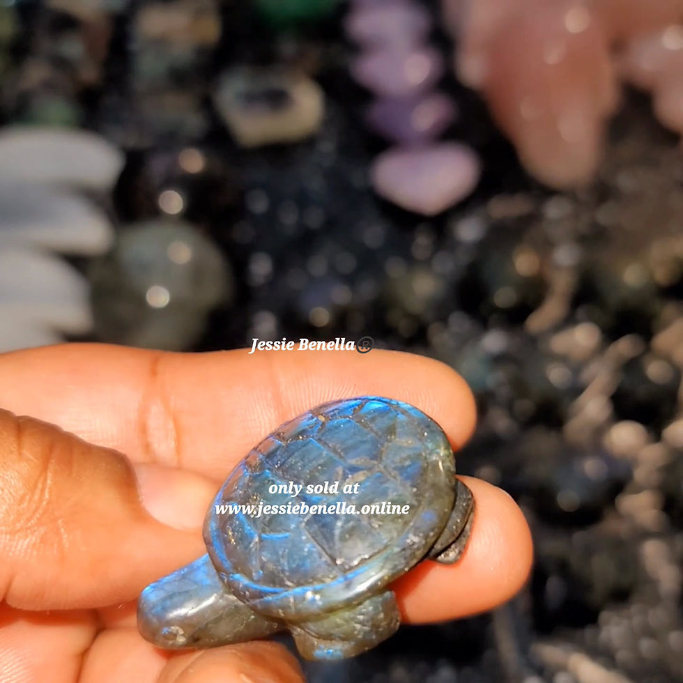 Thumbnail: High Quality Labradorite Turtles