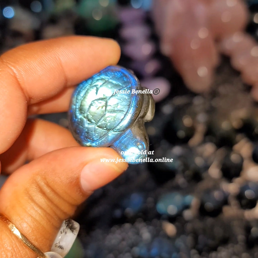 Thumbnail: High Quality Labradorite Turtles