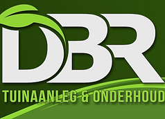 DBR new.png