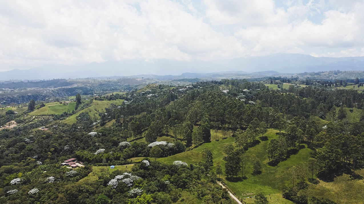 BEJUCOS DRON-5.jpg
