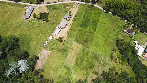 BEJUCOS DRON-7.jpg