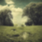 yesterday I was clever so I wanted to change the world, today I am wise so I am changing m