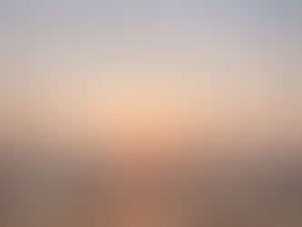 日差しも少し春めいてきた🌱