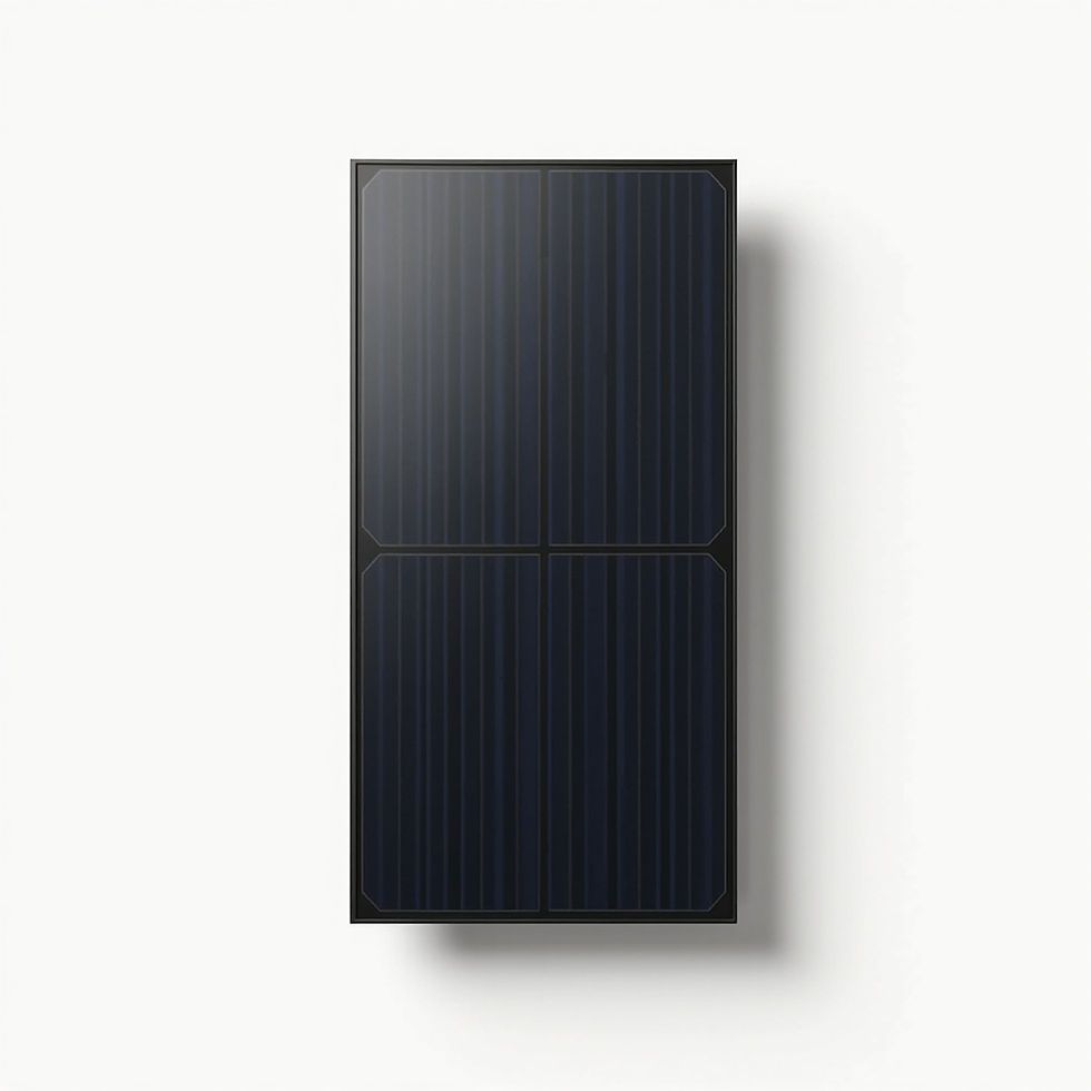 Commercial Grade Solar Module