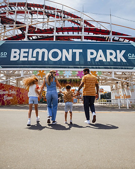 Belmont Park Roller Coaster.jpeg