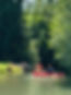 IMG_7984.jpeg