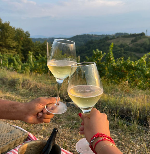 picnic in vigna a murazzano in altalanga