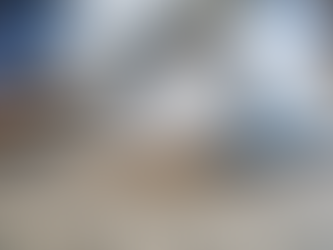 What to Expect During Your First Professional Carpet Cleaning Appointment
