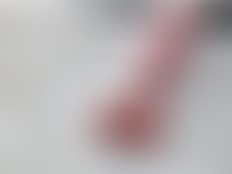 Best Carpet Cleaning Service in Schaumburg – Why Leo Carpet Care & Restoration LLC is the Right Choice