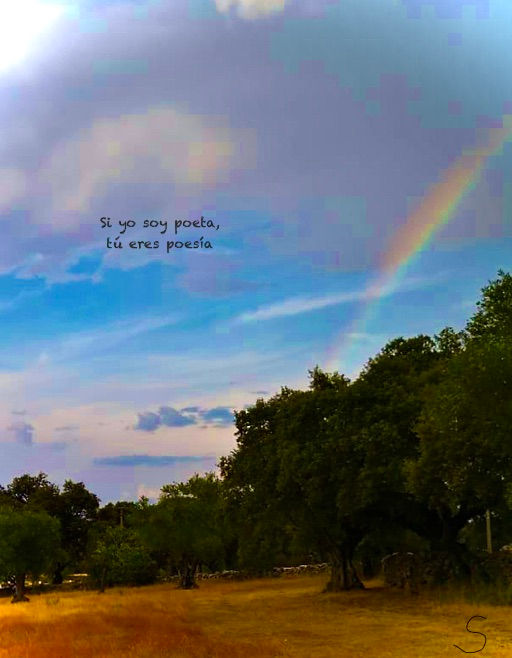 Si yo soy poeta, tú eres poesía