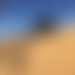 Der Startbeitrag /The starting post