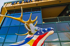 Close up of the Elk in front of the RV hall of fame museum entrance.