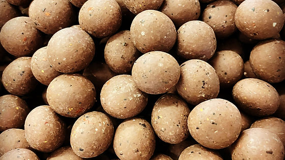 Hazelnuts