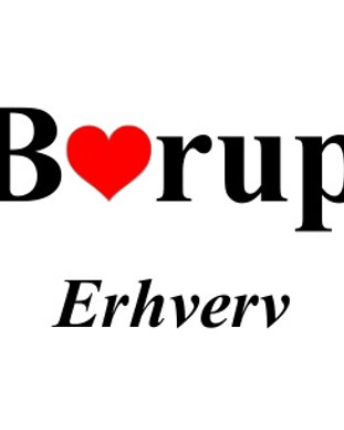 Borup erhverv logo.jpg
