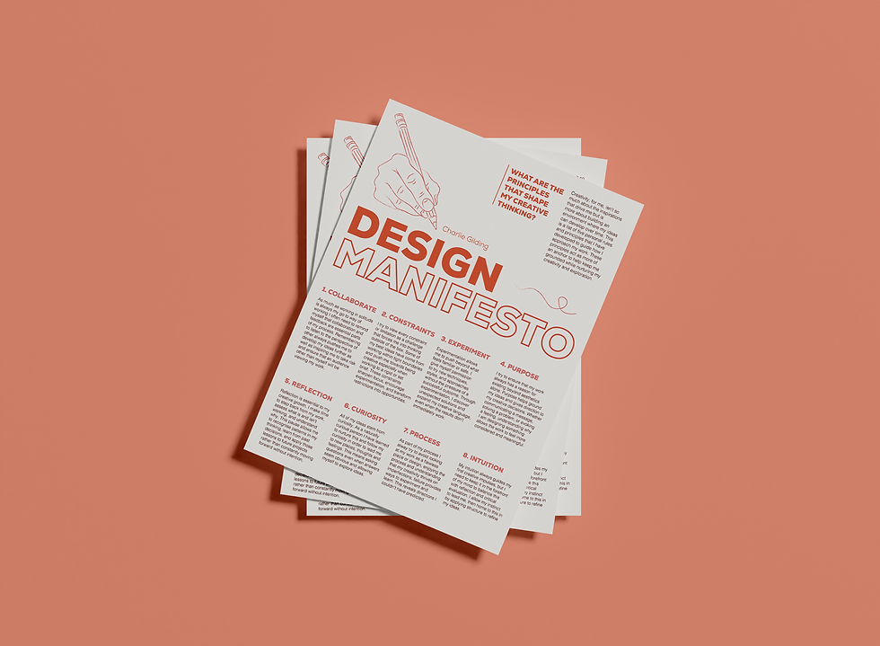 Portfolio Project 3: Press Piece